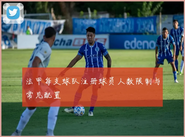 法甲每支球队注册球员人数限制与常见配置
