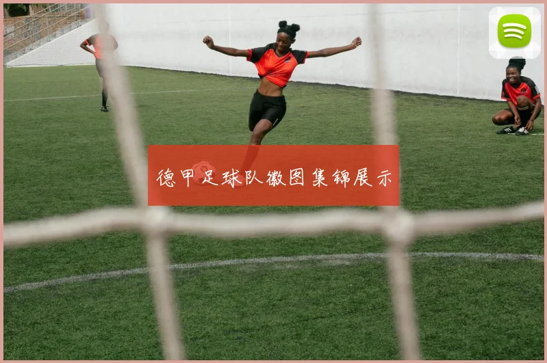 德甲足球队徽图集锦展示