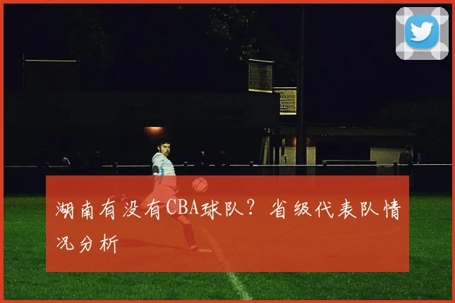 湖南有没有CBA球队?省级代表队情况分析